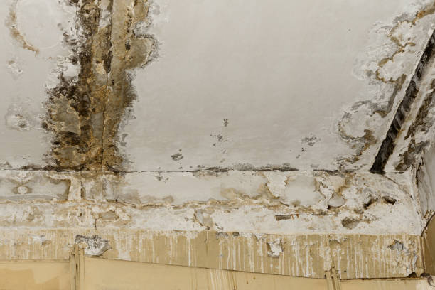 24/7 water damage repair in Sierra Vista, AZ